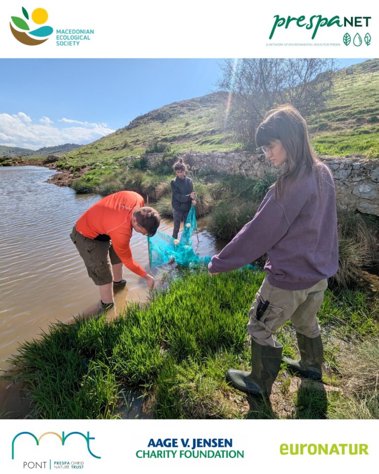 Мониторинг на македонскиот мрморец во Преспа