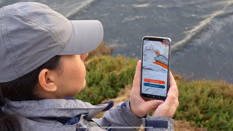 Citizen Science in the Service of Nature: A Mobile App for Monitoring and Researching Pelicans!