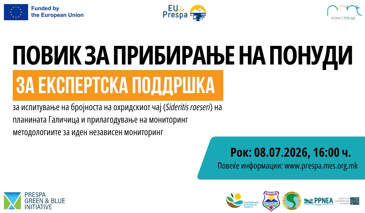 Повик за прибирање на понуди за експертска поддршка за испитување на бројноста на охридскиот чај (Sideritis raeseri) на планината Галичица