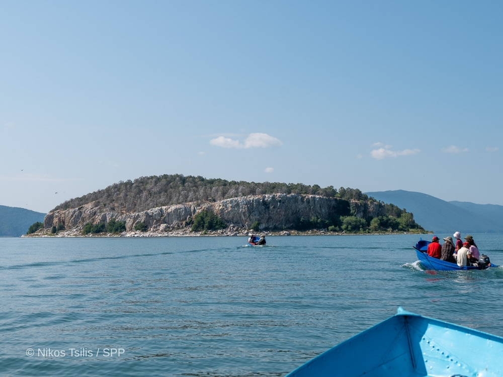 Youth United by Nature: Transboundary Summer School in Prespa Inspires the Next Generation of Nature Conservationists