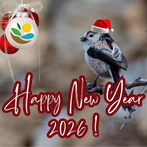 Happy New Year 2026!