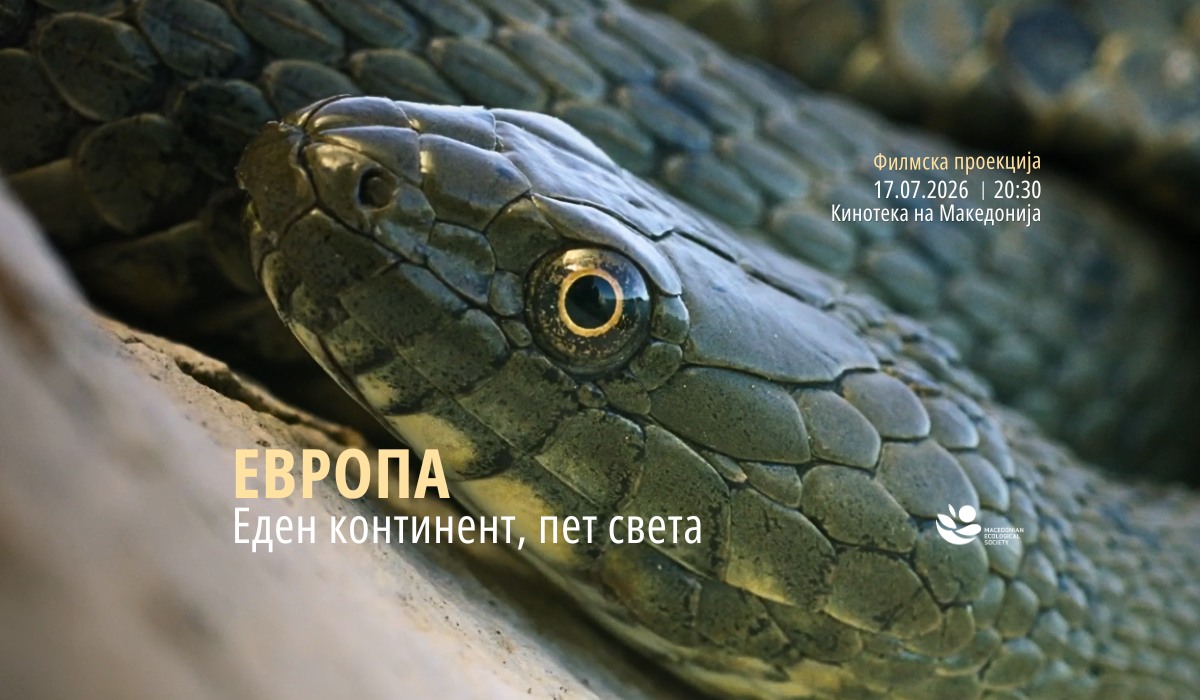 The fascinating dice snake from Golem Grad before the Skopje audience tomorrow at the Cinematheque