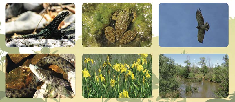 Прирачник за живеалишта