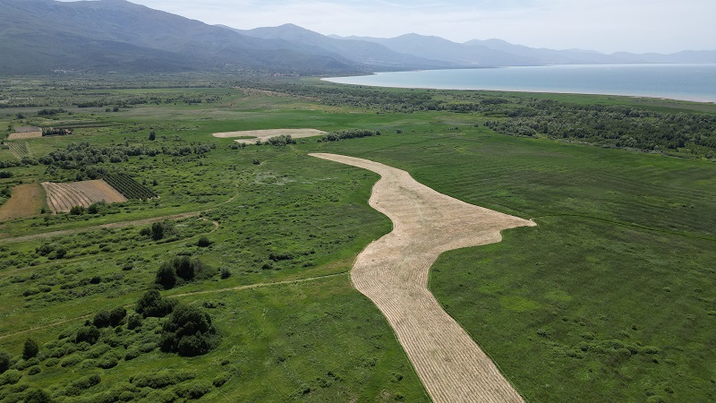 Влажни ливади