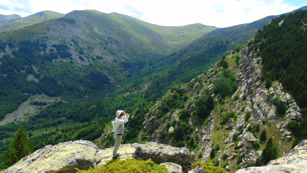 Едукативен камп за истражување на биолошката разновидност на НП „Пелистер“