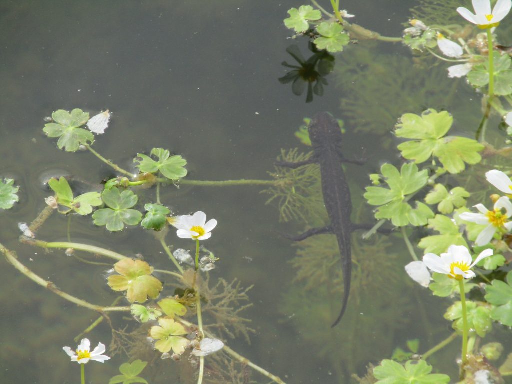 Untitled Reusable Block