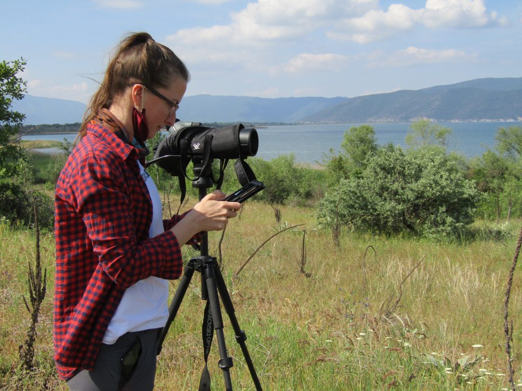 Untitled Reusable Block