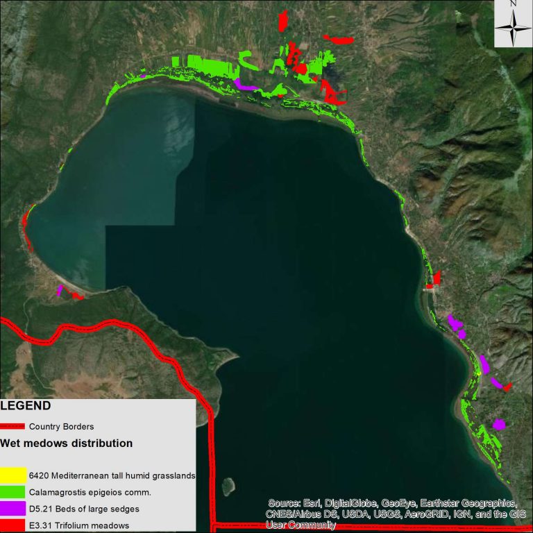 Pilot wet-meadow management activities