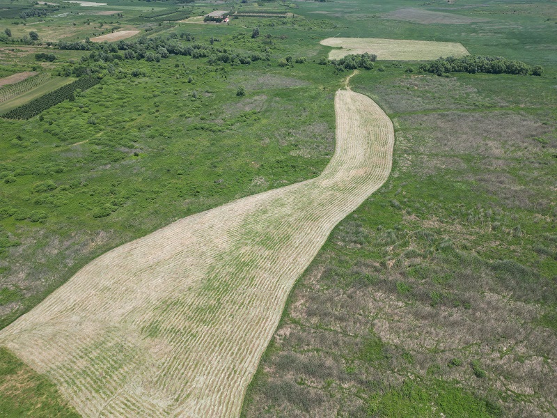 Mowing of the Wet Meadows in Prespa 2025