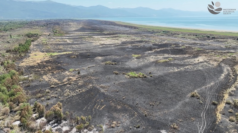 Последиците од пожарот во Преспа – Изгорена скоро половина од копнената површина на Паркот на природата „Езерани“