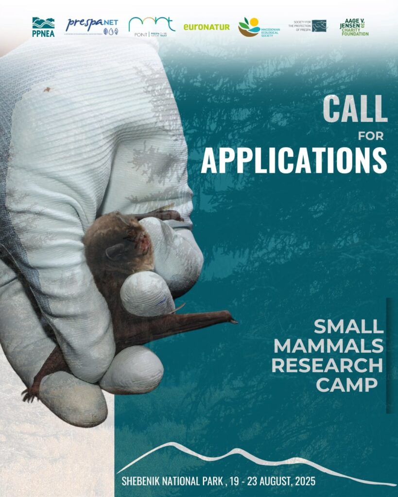 Меѓународен камп за мали цицачи 2025